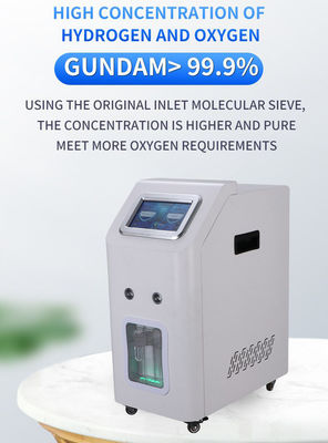 Good price 3000 میلی لیتر هیدروژن و سوخت های زیستی هیدروژن سلول سوخت PEM برای استفاده خانگی آنلاین