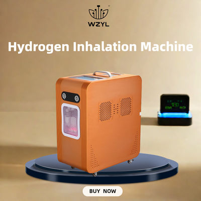 قیمت خوب AC220V هیدروژن اکسیژن انالاتور هیدروژن دستگاه تنفس 3000ml/M آنلاین