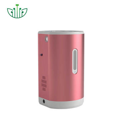 Good price Portable Hydrogen Inhaler with 99.9% Pure Hydrogen 150ml/min Output and 75ml/min Oxygen for Therapy آنلاین